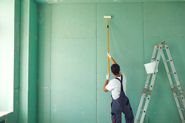 Best Post-Remediation Verification Testing  in St Matthews, SC
