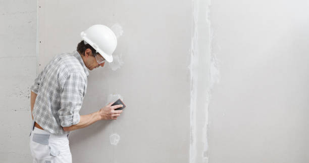 Best Attic Mold Removal  in St Matthews, SC