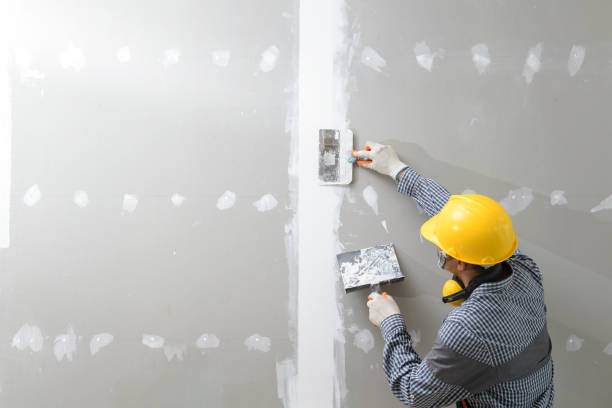 Best Mold Documentation for Insurance Claims  in St Matthews, SC