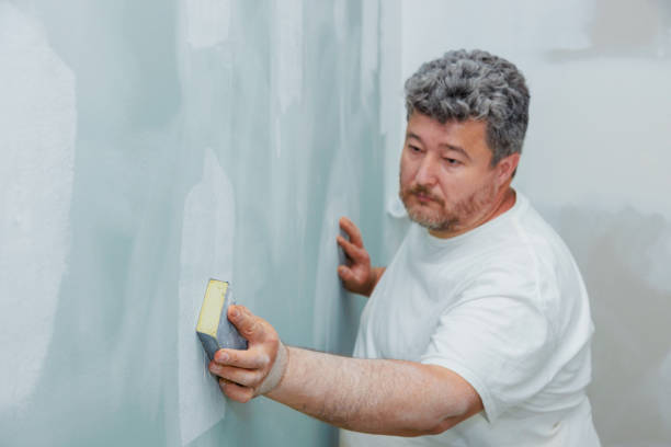 Best Environmental Consulting for Mold Prevention  in St Matthews, SC
