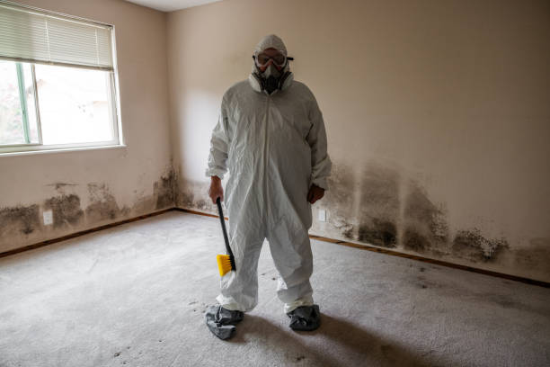 Best Air Quality Testing for Mold Spores  in St Matthews, SC