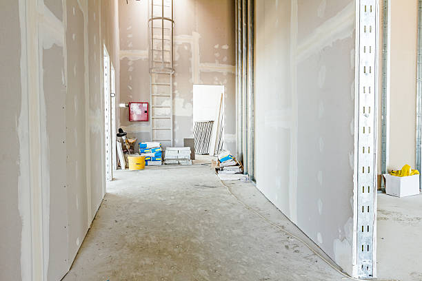Best Mold Damage Restoration  in St Matthews, SC