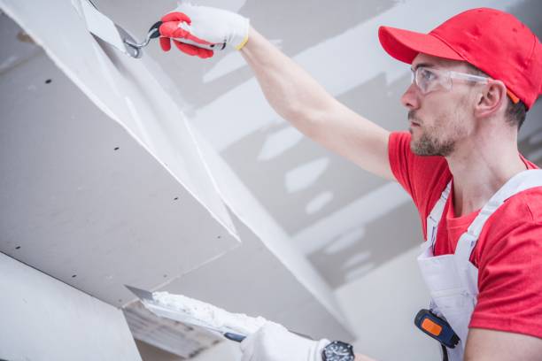 Reliable St Matthews, SC Mold Removal Solutions